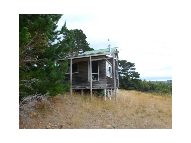 Renison Street, Derby TAS 7264