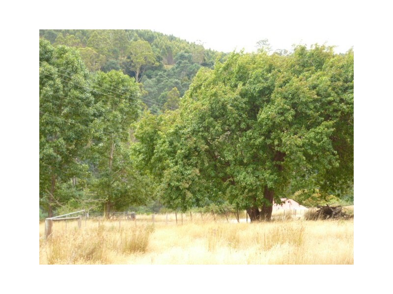 Renison Street, Derby TAS 7264