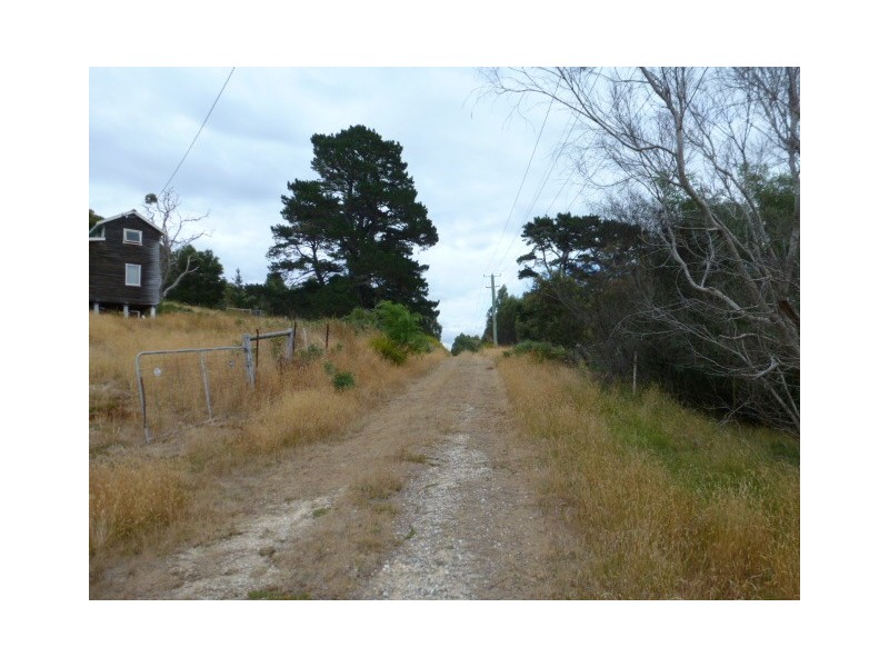 Renison Street, Derby TAS 7264