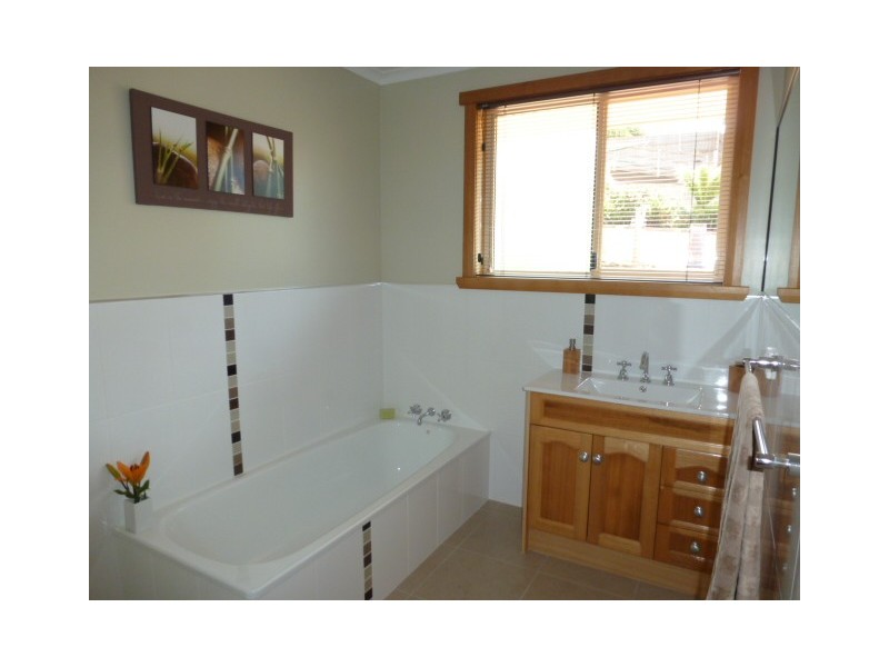 13 Alice Street, Scottsdale TAS 7260