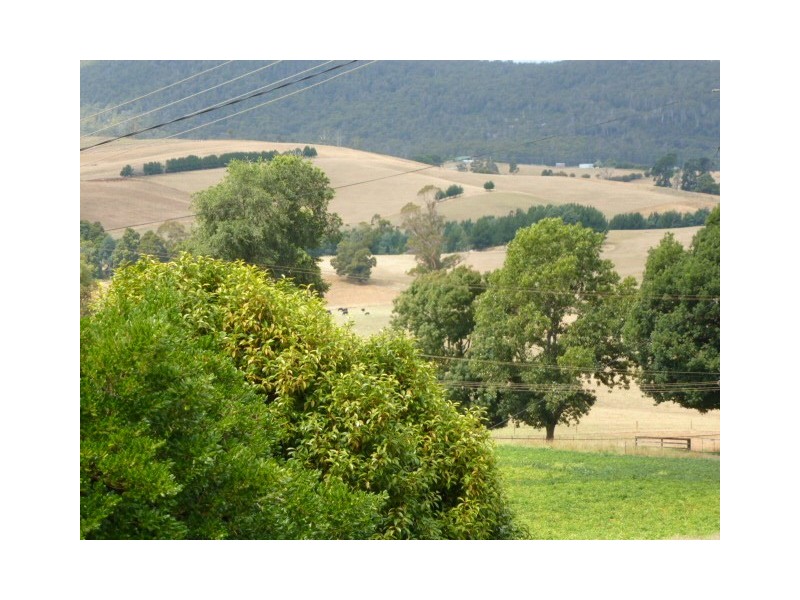 13 Alice Street, Scottsdale TAS 7260