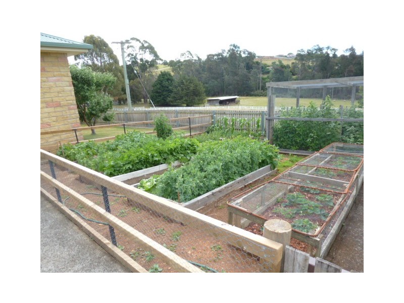 39 Ringarooma Road, Scottsdale TAS 7260