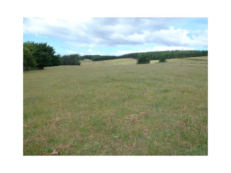 39 Ringarooma Road, Scottsdale TAS 7260