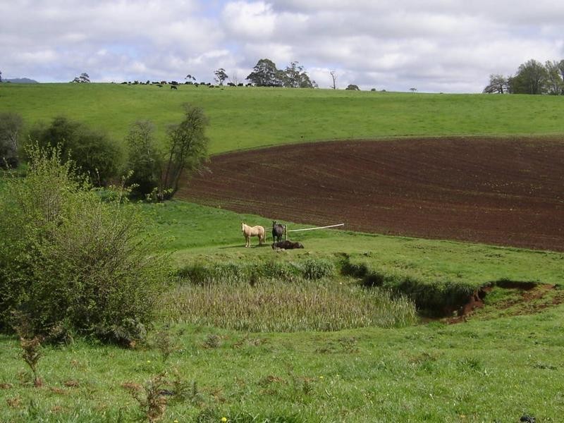 *East Maurice Road, Ringarooma TAS 7263