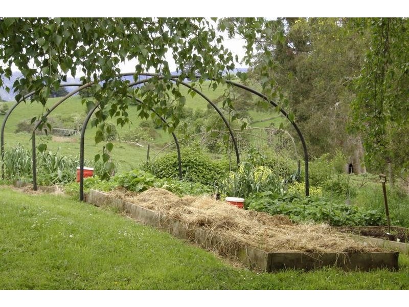 *East Maurice Road, Ringarooma TAS 7263