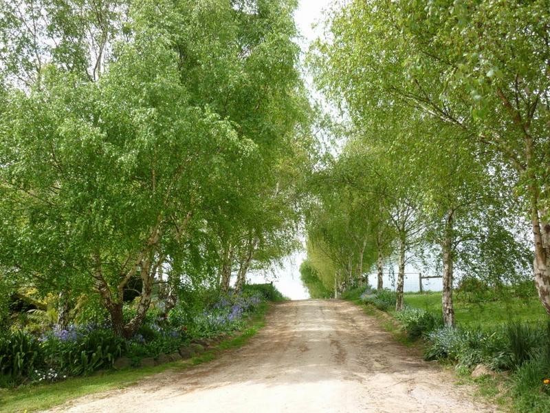 *East Maurice Road, Ringarooma TAS 7263