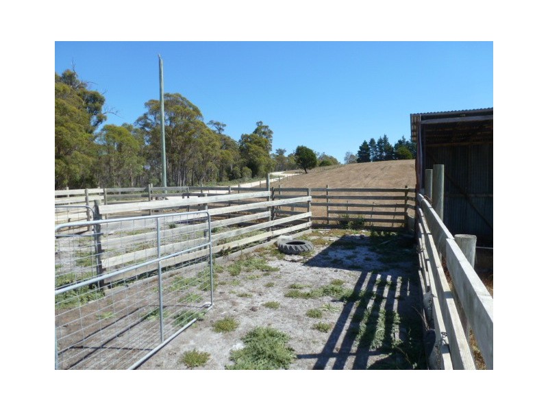 1424 Forester Road, Scottsdale TAS 7260