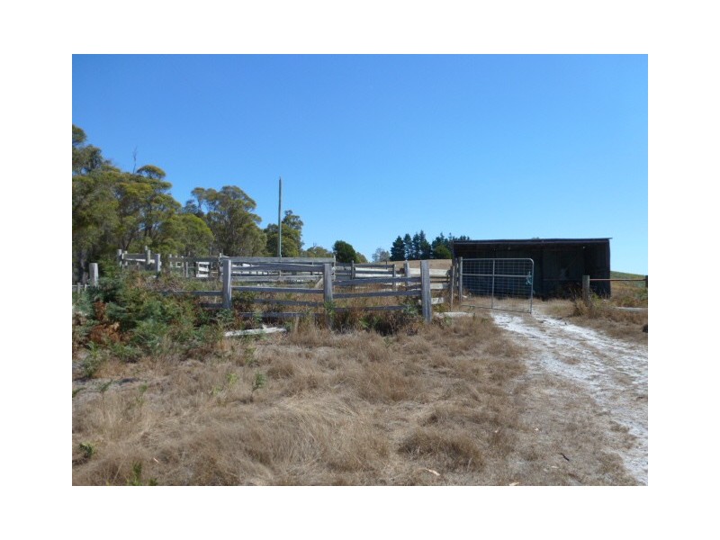 1424 Forester Road, Scottsdale TAS 7260