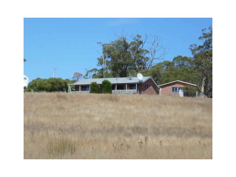 Forester Road, Scottsdale TAS 7260