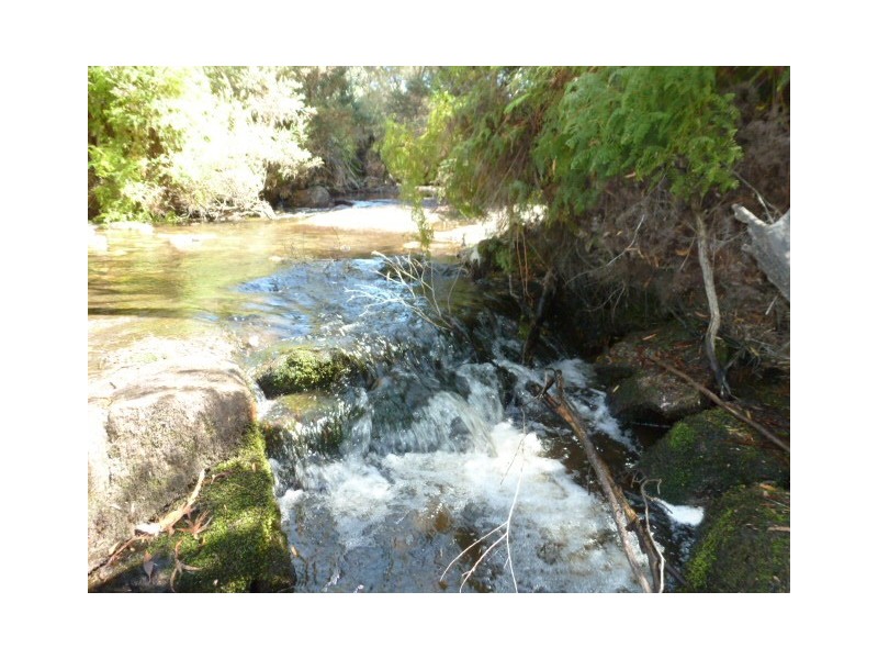 Forester Road, Scottsdale TAS 7260