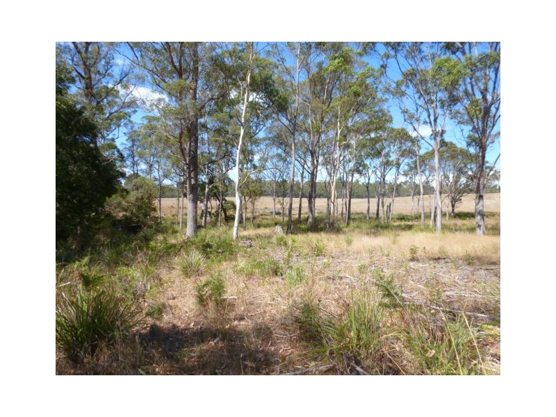 Forester Road, Scottsdale TAS 7260