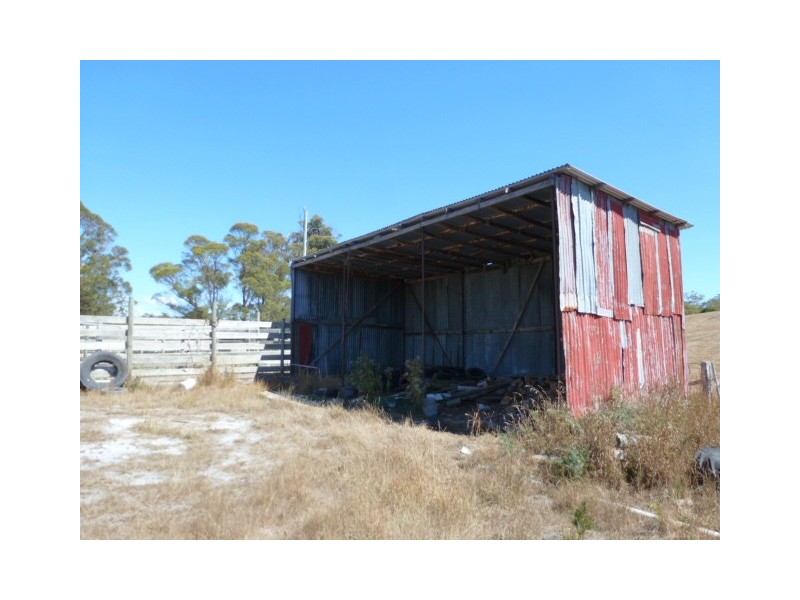 Forester Road, Scottsdale TAS 7260