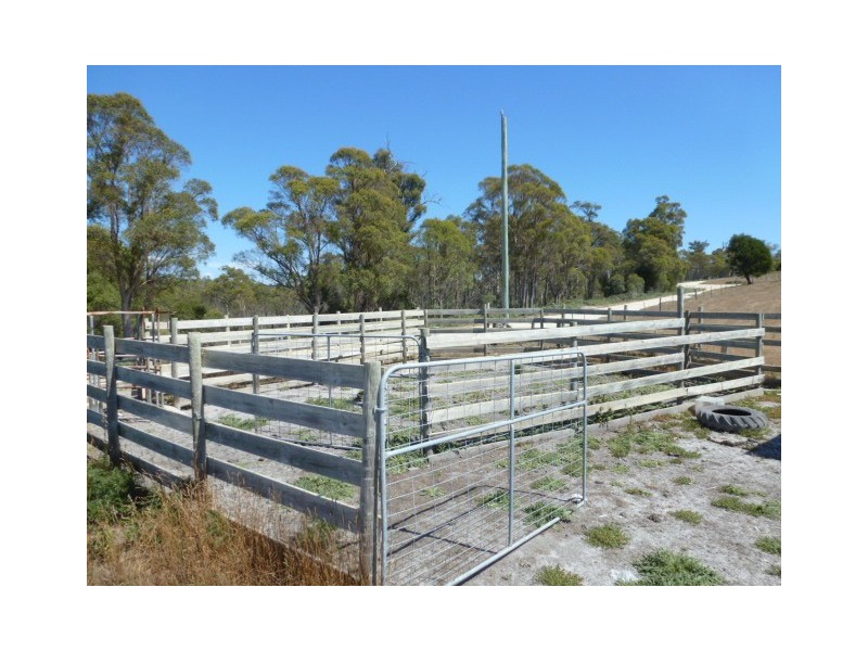 Forester Road, Scottsdale TAS 7260