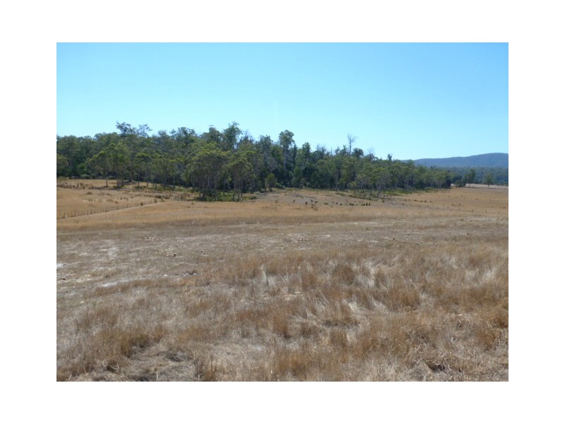 Forester Road, Scottsdale TAS 7260