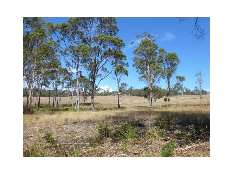 Forester Road, Scottsdale TAS 7260