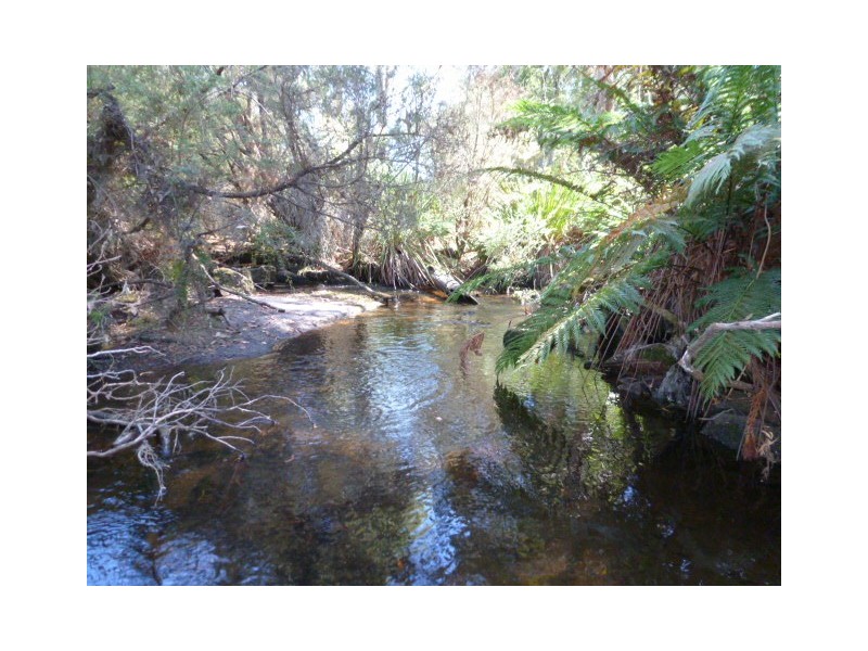 Forester Road, Scottsdale TAS 7260