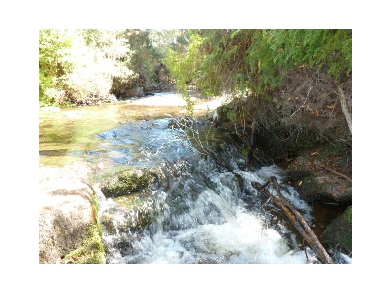 Forester Road, Scottsdale TAS 7260