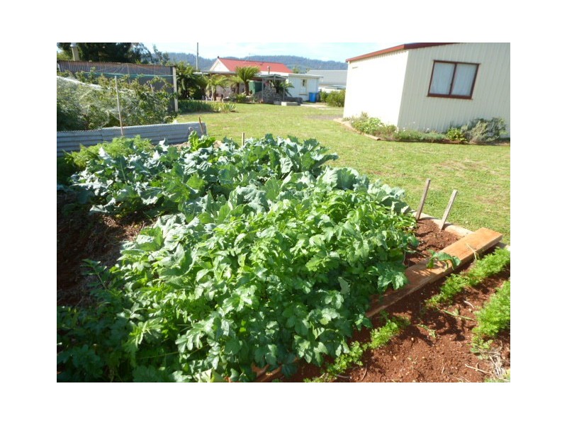 34 Main Street, Ringarooma TAS 7263