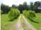 * Tasman Highway, Weldborough TAS 7264