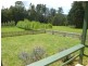 * Tasman Highway, Weldborough TAS 7264
