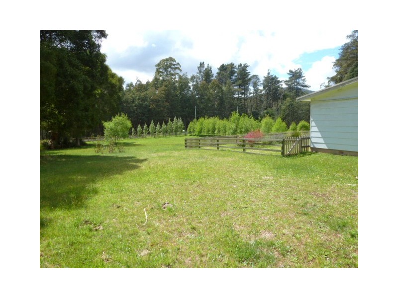 * Tasman Highway, Weldborough TAS 7264