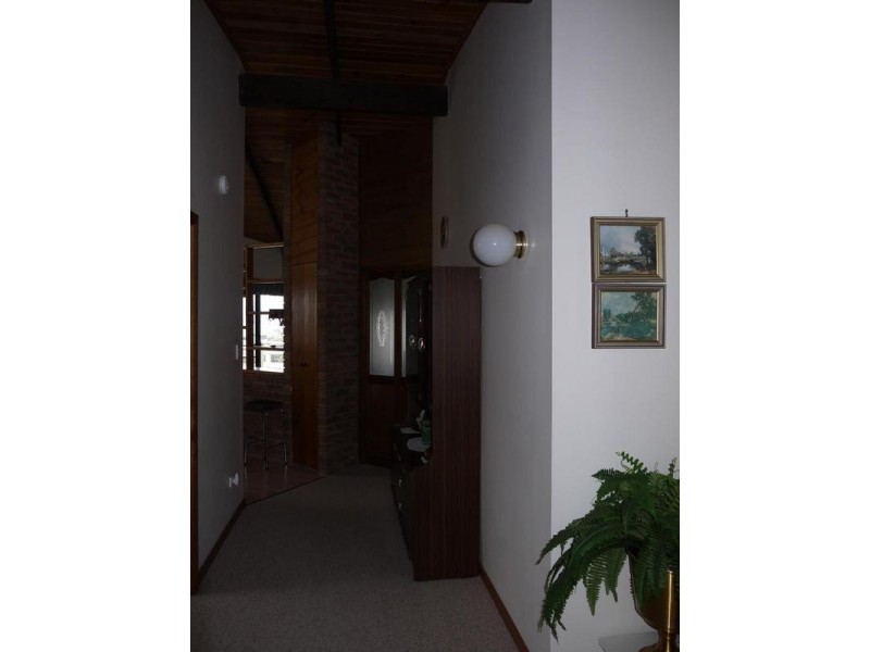 6 Alan Lade Place, Bridport TAS 7262