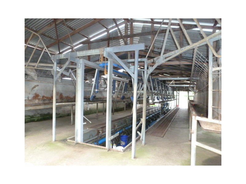 902 Sledge Track, Springfield, Scottsdale TAS 7260