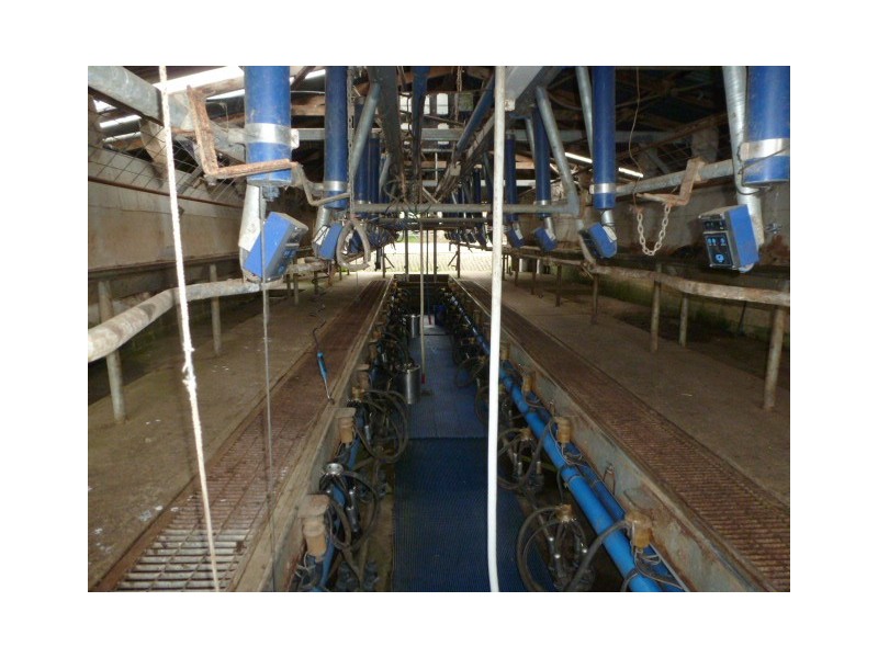 902 Sledge Track, Springfield, Scottsdale TAS 7260