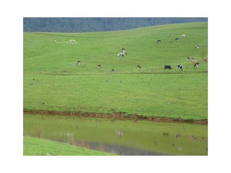 902 Sledge Track, Springfield, Scottsdale TAS 7260