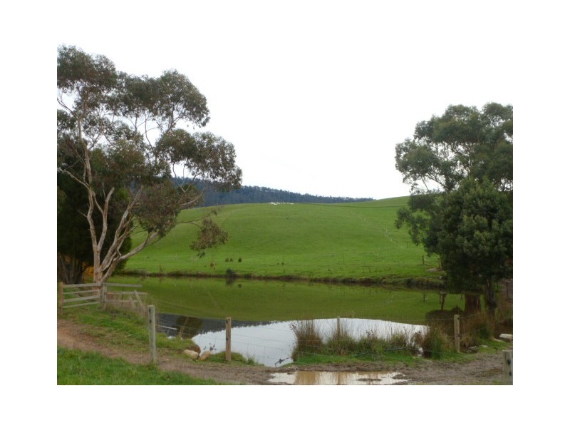 Sledge Track, Springfield, Scottsdale TAS 7260