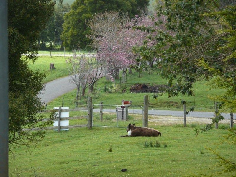 East Maurice Road, Talawa, Ringarooma TAS 7263
