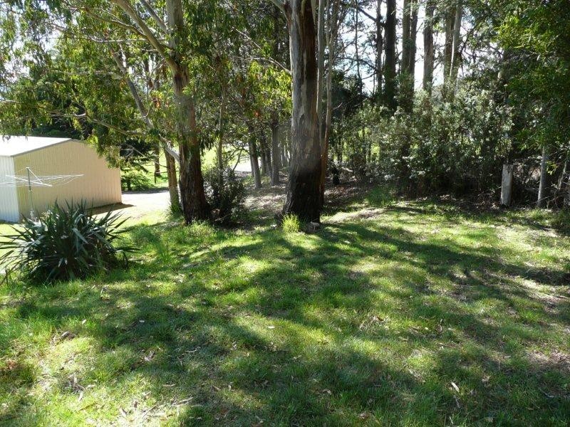 East Maurice Road, Talawa, Ringarooma TAS 7263