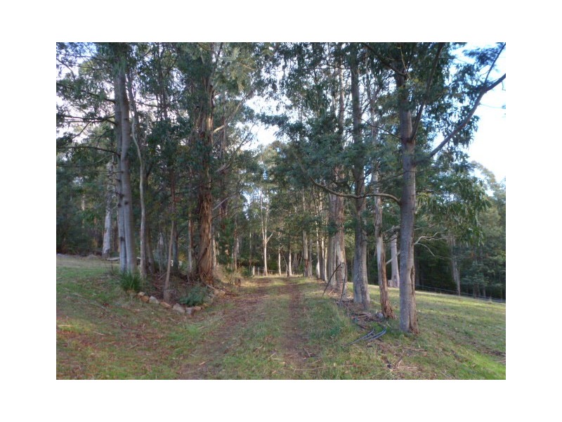 East Maurice Road, Talawa, Ringarooma TAS 7263