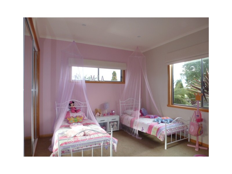 Austins Road, Scottsdale TAS 7260