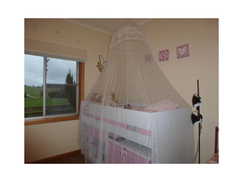 Austins Road, Scottsdale TAS 7260