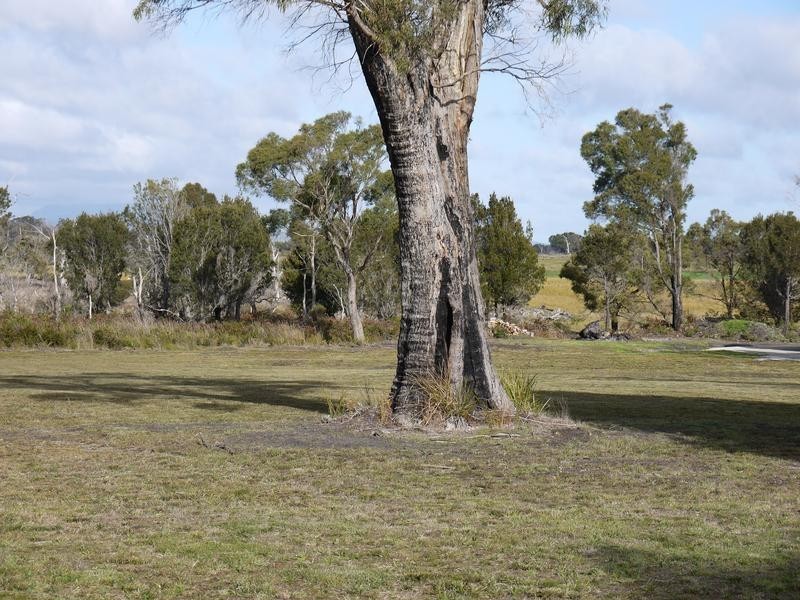 86 Port Hills Road, Bridport TAS 7262