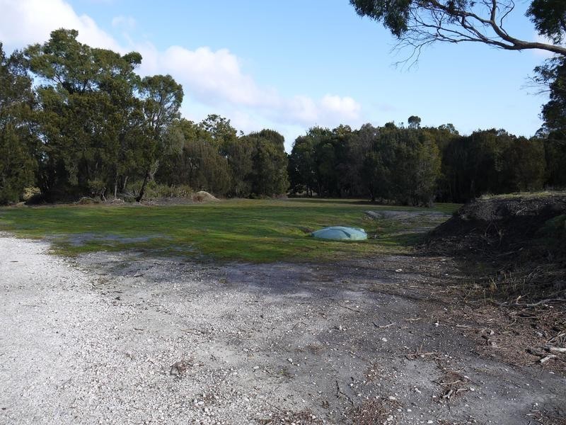 86 Port Hills Road, Bridport TAS 7262