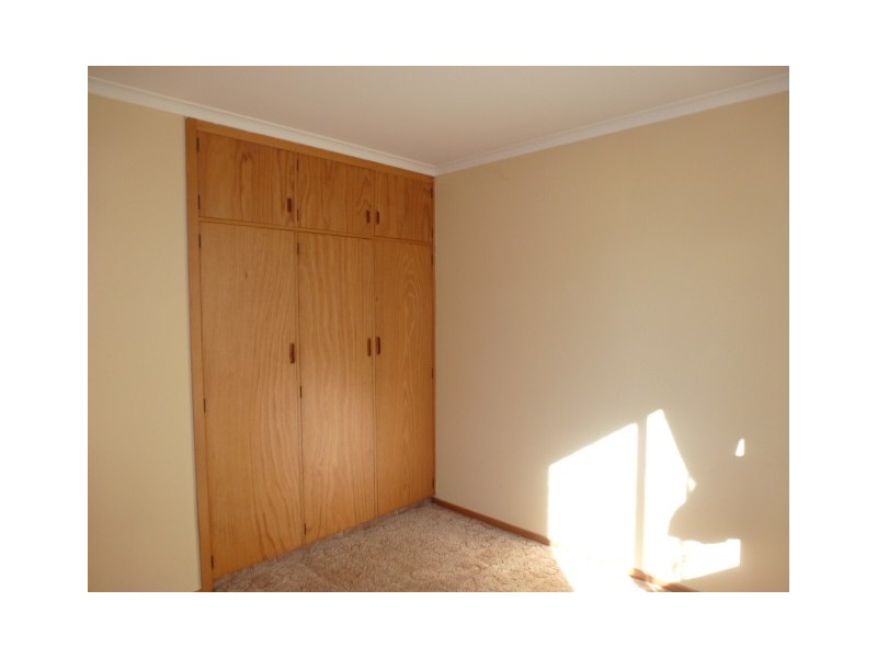 16 King Street, Scottsdale TAS 7260