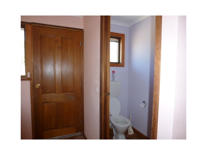 1424 Forester Road, Scottsdale TAS 7260