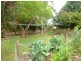 378 East Maurice Road, Ringarooma TAS 7263
