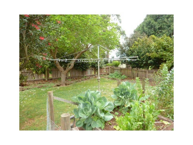 378 East Maurice Road, Ringarooma TAS 7263