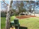 10 Alfred Street, Scottsdale TAS 7260