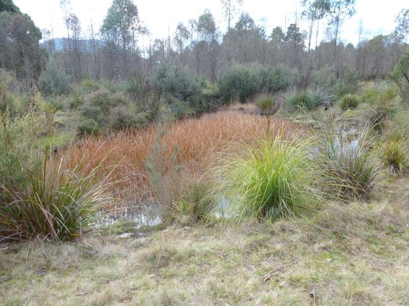 Corner Cuckoo Road & Tonganah Road, Cuckoo, Scottsdale TAS 7260