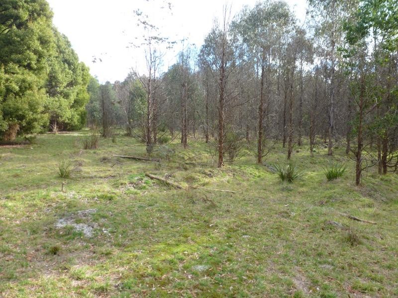 Corner Cuckoo Road & Tonganah Road, Cuckoo, Scottsdale TAS 7260