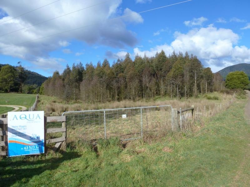 Corner Cuckoo Road & Tonganah Road, Cuckoo, Scottsdale TAS 7260