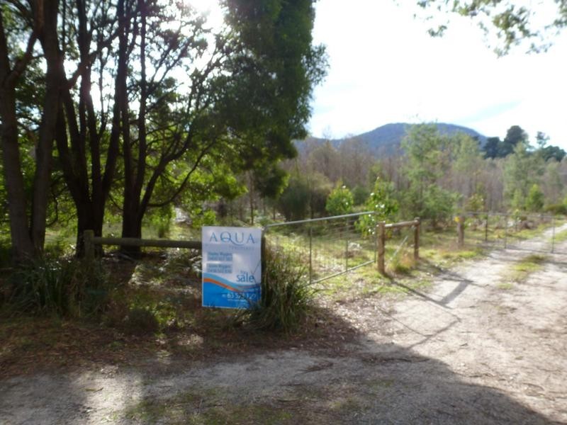 Corner Cuckoo Road & Tonganah Road, Cuckoo, Scottsdale TAS 7260