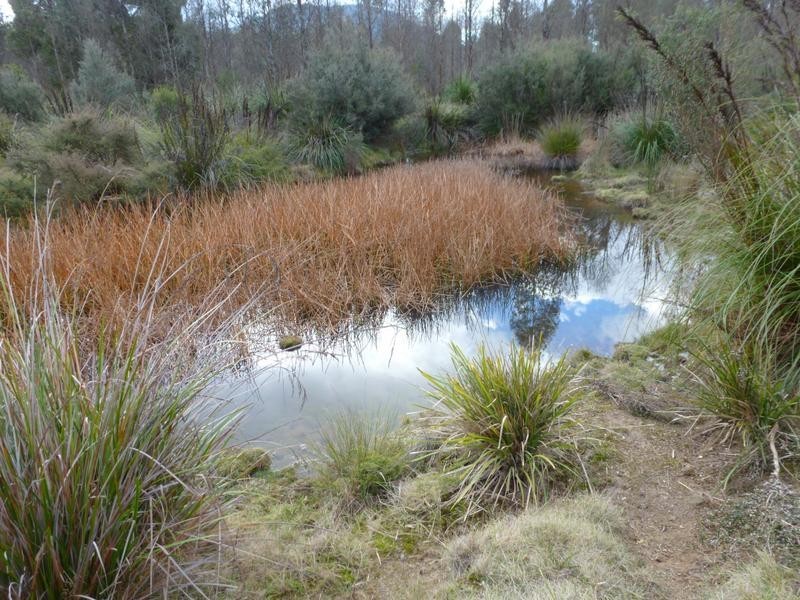 Corner Cuckoo Road & Tonganah Road, Cuckoo, Scottsdale TAS 7260