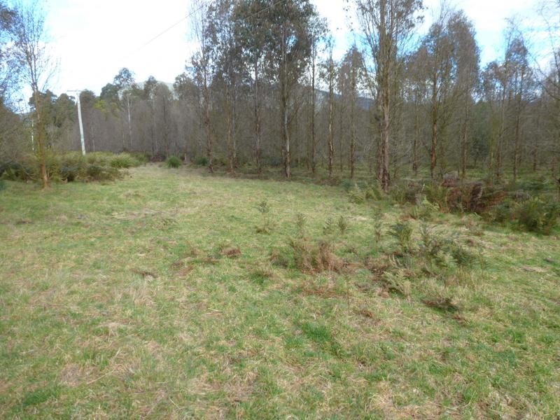 Corner Cuckoo Road & Tonganah Road, Cuckoo, Scottsdale TAS 7260