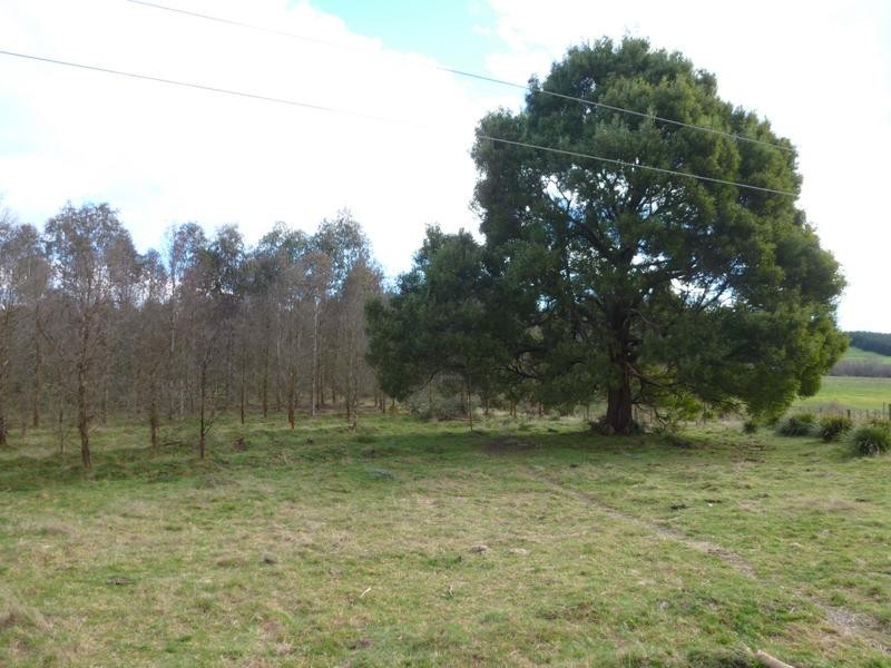 Corner Cuckoo Road & Tonganah Road, Cuckoo, Scottsdale TAS 7260