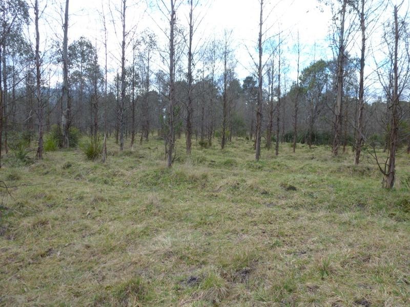 Corner Cuckoo Road & Tonganah Road, Cuckoo, Scottsdale TAS 7260